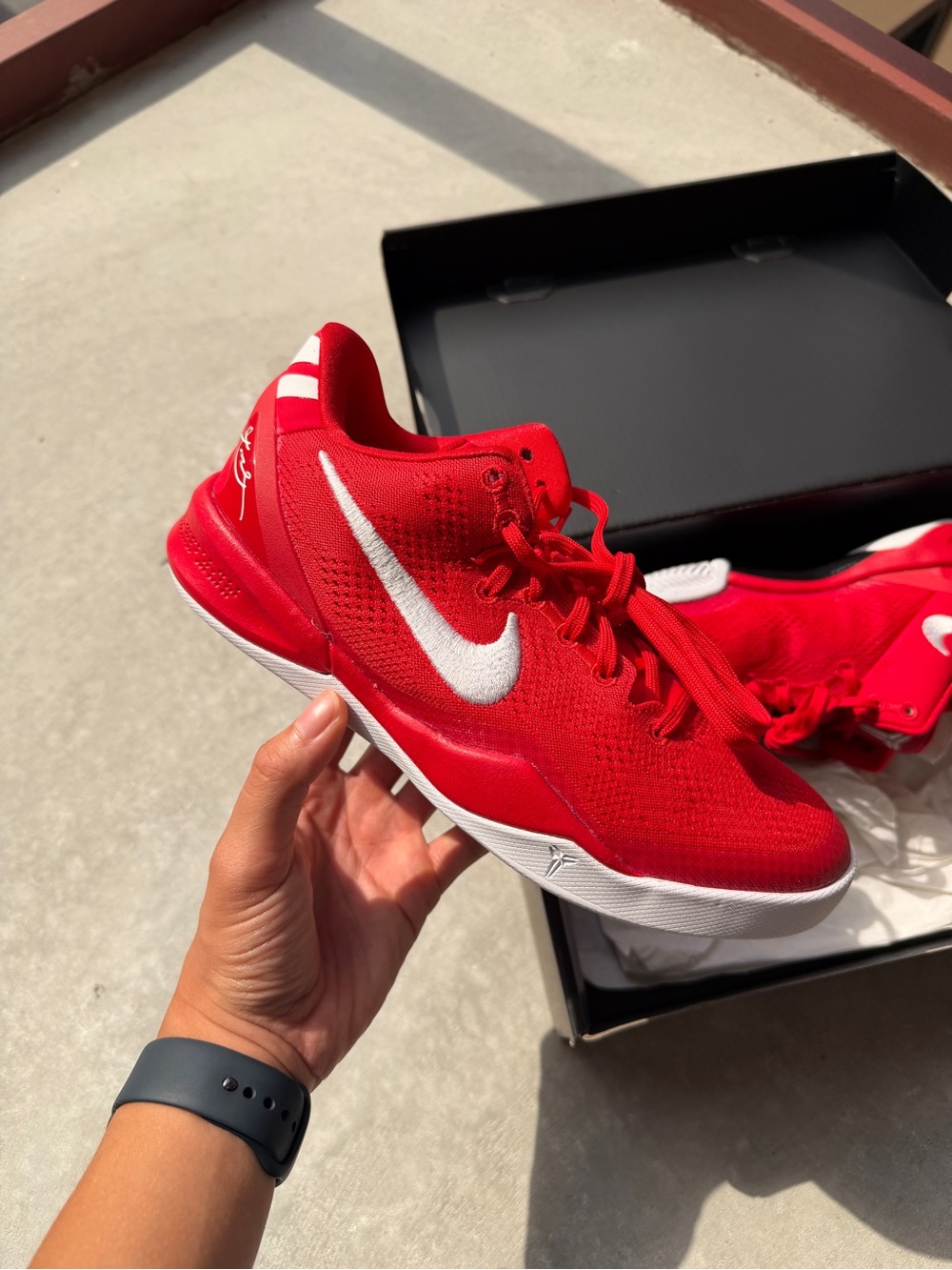 (5Y) Kobe 8 University Red